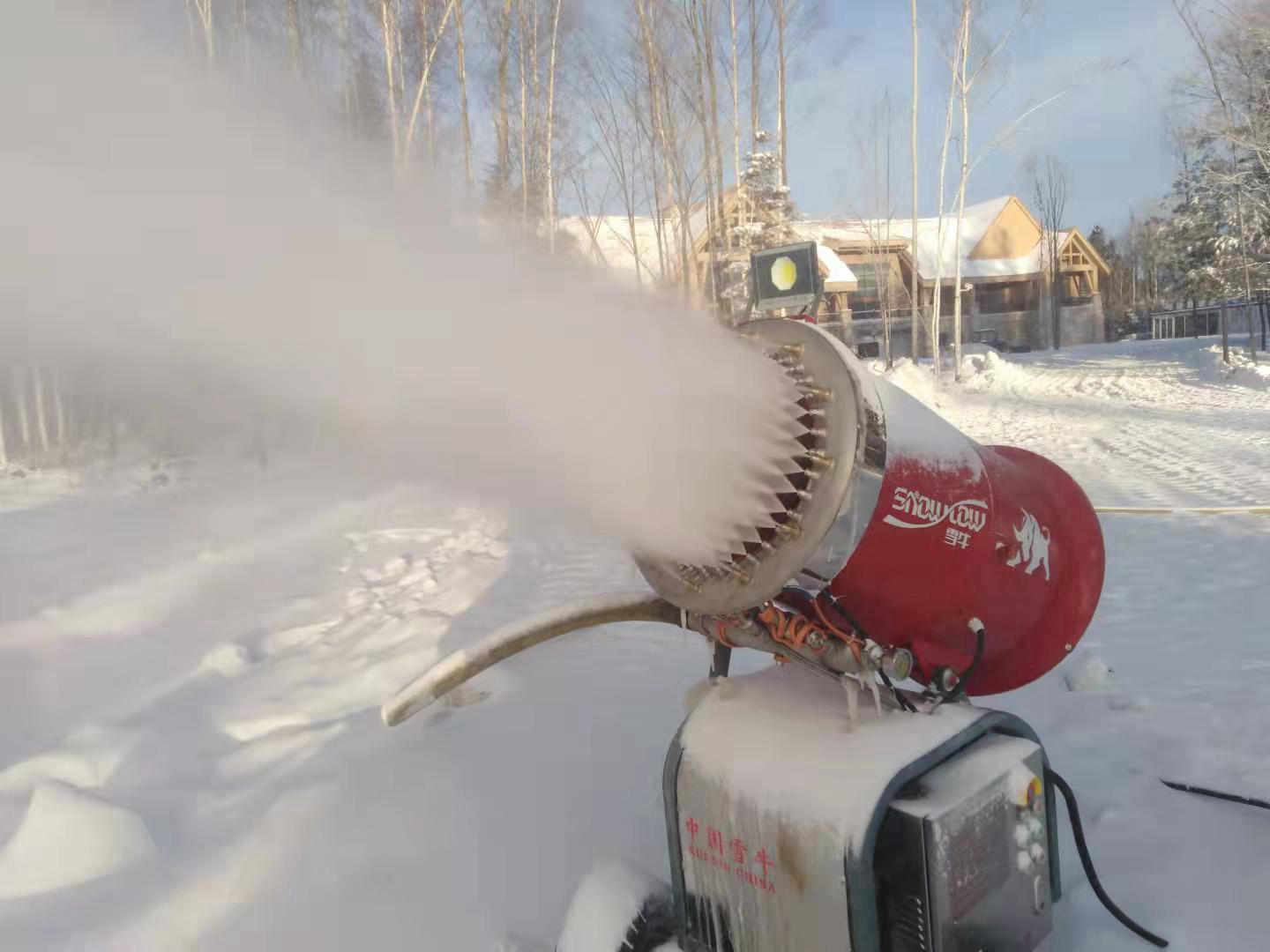造雪機(jī)案例 (10)